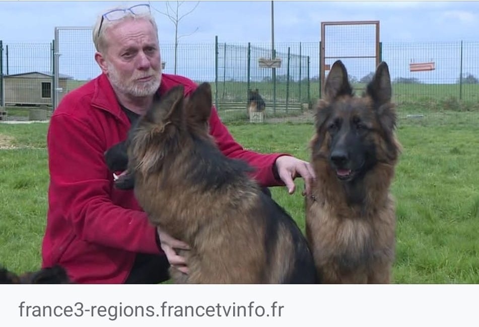 LES VOLS DE CHIENS, UN FLEAU TOUJOURS D'ACTUALITE