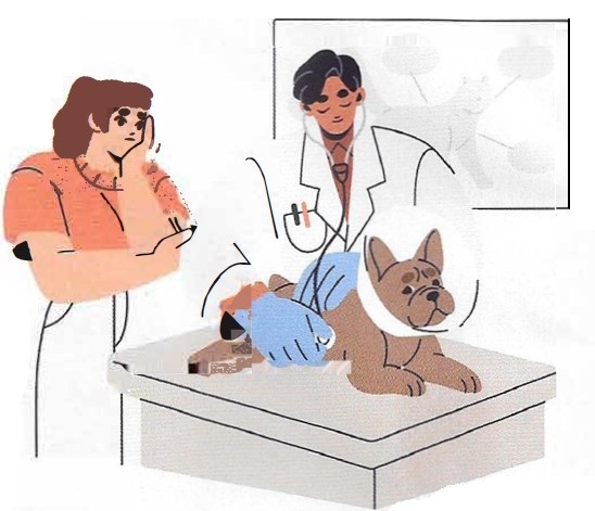 Stérilisation : les recommandations changent 