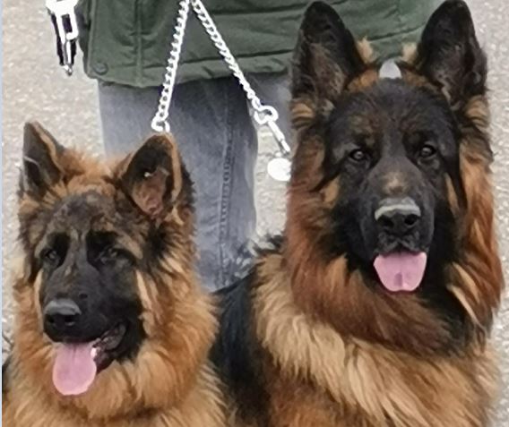 PROCHAINE PORTEE 2026